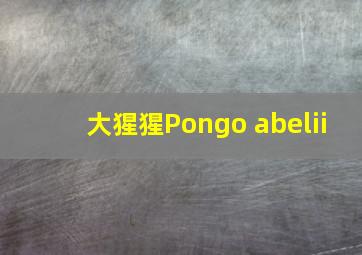 大猩猩Pongo abelii